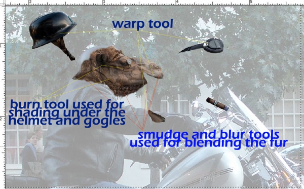 Creation of Joe Camel The Biker: Step 1